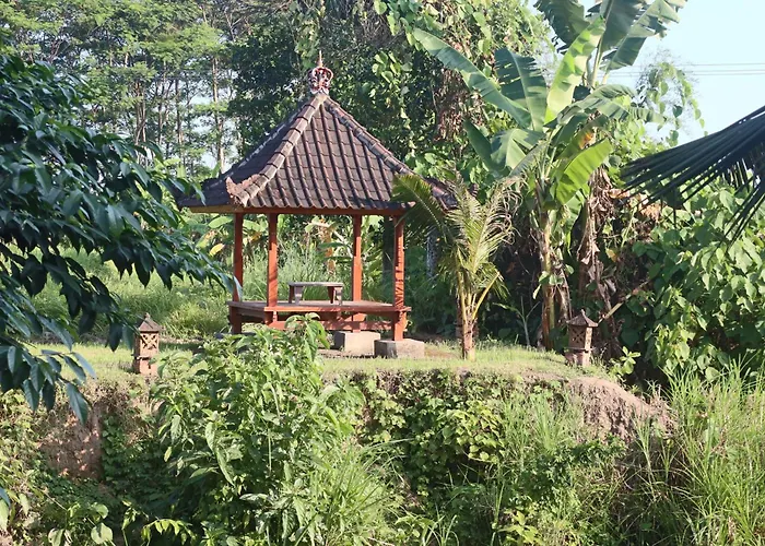 Umah D Abing * Siyut