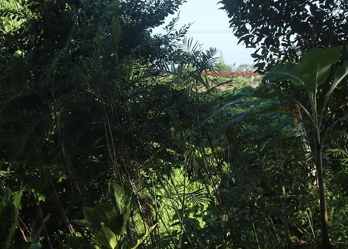 Appartamento Umah D Abing Siyut